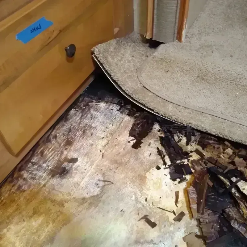 Wood Floor Water Damage in Cortez, CO